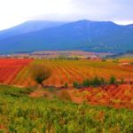 Foto de un paisaje rural, con campos cultivados y montañas al fondo
