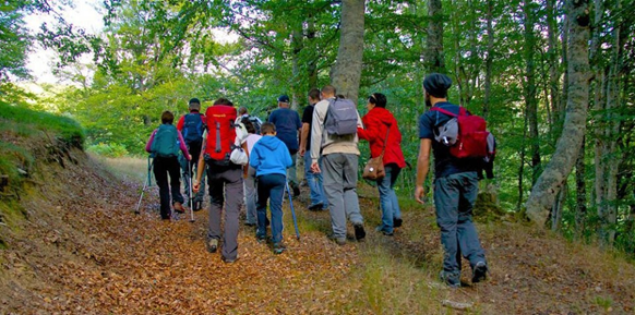 imagen_encuentro_nansa Grupo de excursionistas caminando por un bosque