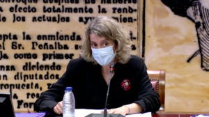 26.4.21.presidenta-fademur-seguimiento-pacto-estado Foto del evento