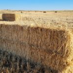 Foto de una paca de paja