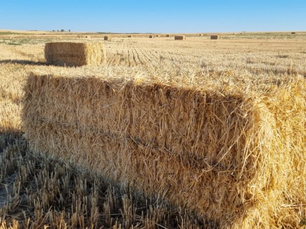 Foto de una paca de paja