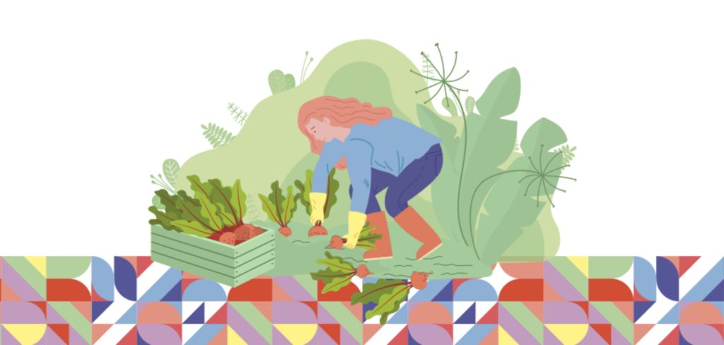 Captura de Pantalla 2022-07-06 a las 13.39.07 Imagen detalle informe