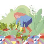 Imagen detalle informe