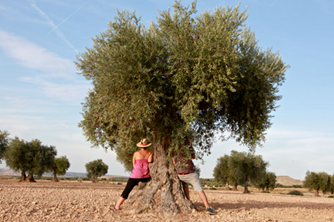 descarga (1) Foto de mujer en un árbol
