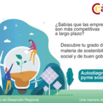 Imagen carátula guía