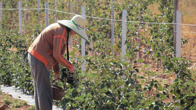 Foto de mujer en la huerta