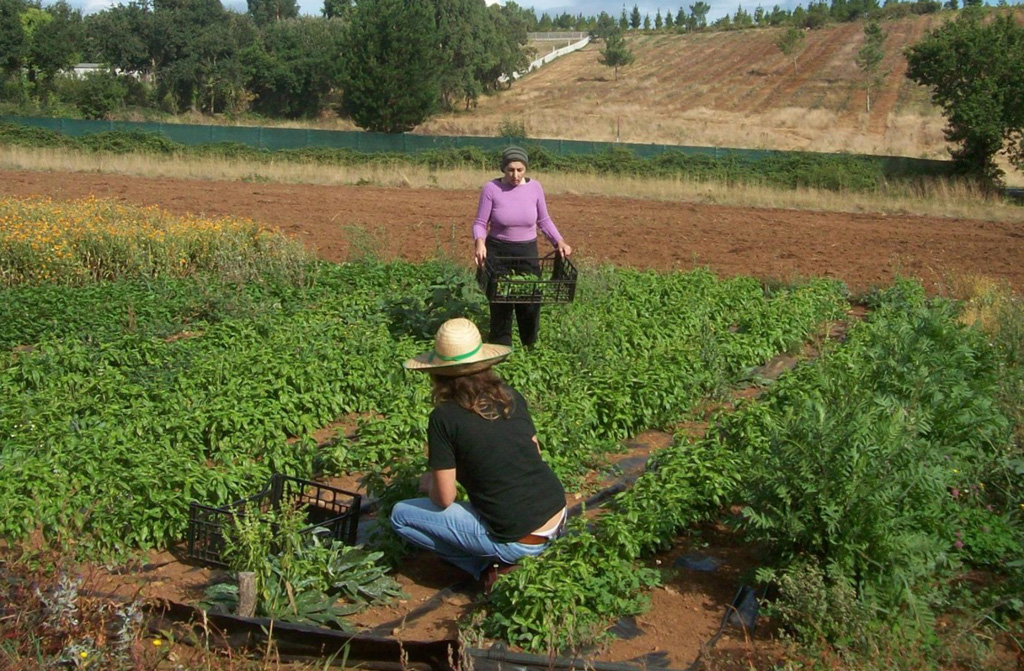 Foto de 2 mujeres en una huerta