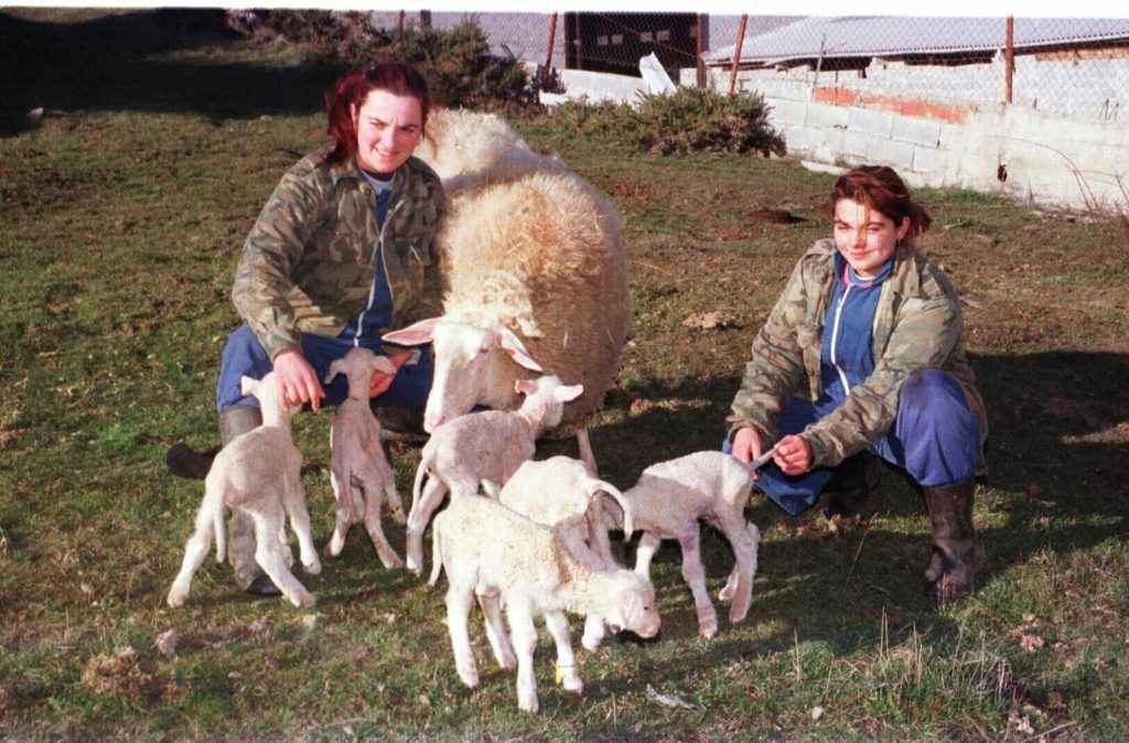 ovejas Foto de Mujeres con ovejas en una granja de Cantabria