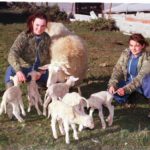 Foto de Mujeres con ovejas en una granja de Cantabria