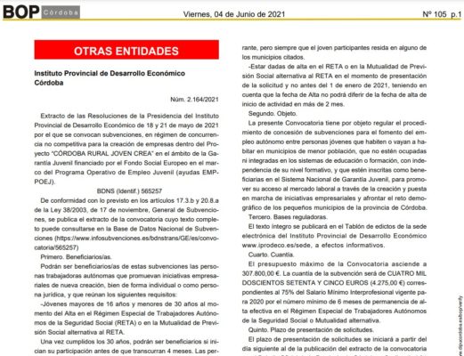 Imagen de un escrito del Boletín Oficial de la Provincia de Córdoba