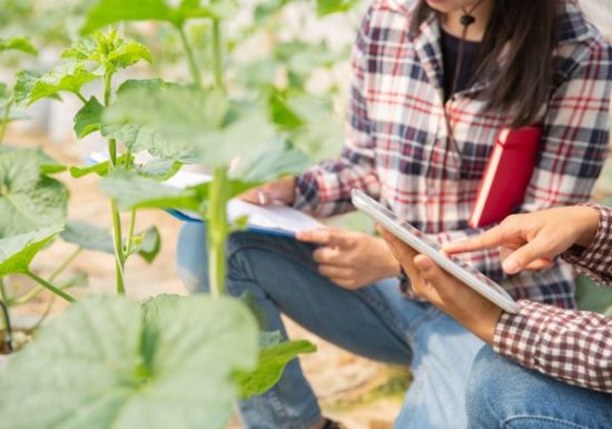 subvenciones_entidades_de_mujeres_rurales Foto de dos mujeres comprobando el estado de unas plantas