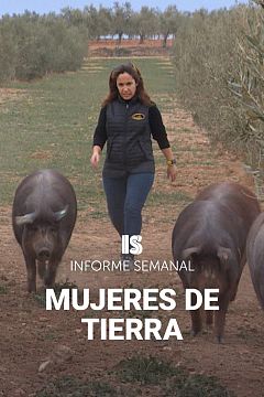 vertical Imagen cartel reportaje