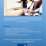 Imagen del cartel anunciando los cursos de formación plurirregional