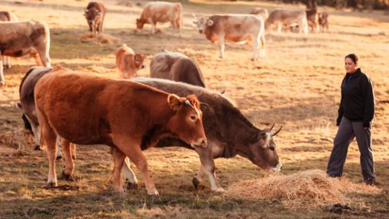 Foto de una ganadera