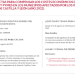 Captura convocatoria Ayudas Pymes afectadas incendios