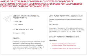 Ayudas CyL Pymes Incendios Captura convocatoria Ayudas Pymes afectadas incendios
