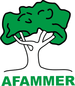 Premios compromiso igualdad Affamer Logo Afammer