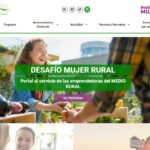 Imagen de Home Poral DMR