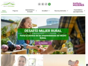 Lanzamto NPortal DMR Imagen de Home Poral DMR