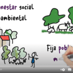 Captura vídeo Ganaderas en Red