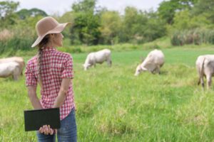 Artículo Red Faconauto avance de la mujer en el medio rural: de desempleadas a emprendedoras