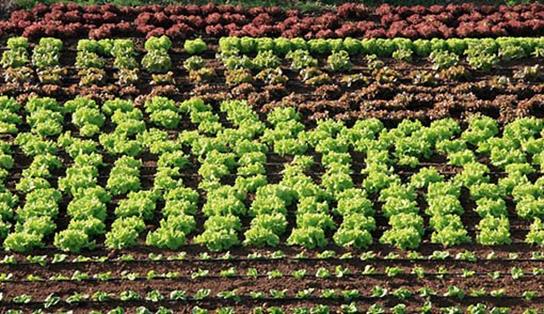 Curso MAPA agricultura ecologica