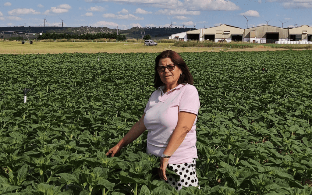Mujeres visión estratégica