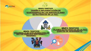 3 NUEVOS GRUPOS TEMÁTICOS 2023