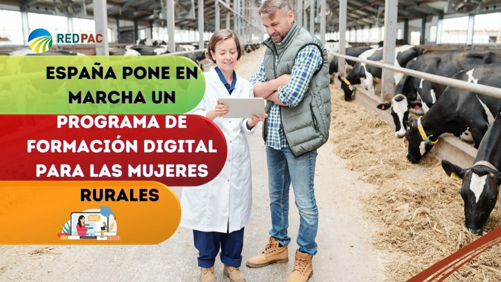 Prog Alfabetiz Mujeres