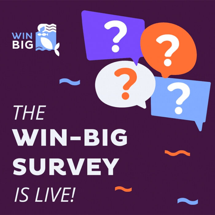 proyecto Win-Big proyecto Win-Big