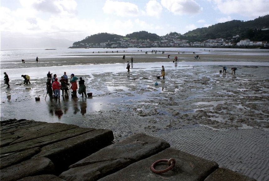 Ayudas restauración biodiversidad Galicia