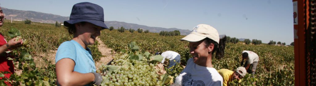 4ª EDICIÓN PROYECTO BARDOS