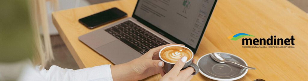 Programa MENDINET