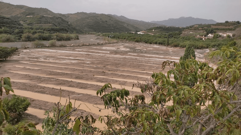 agricultura y ganaderia