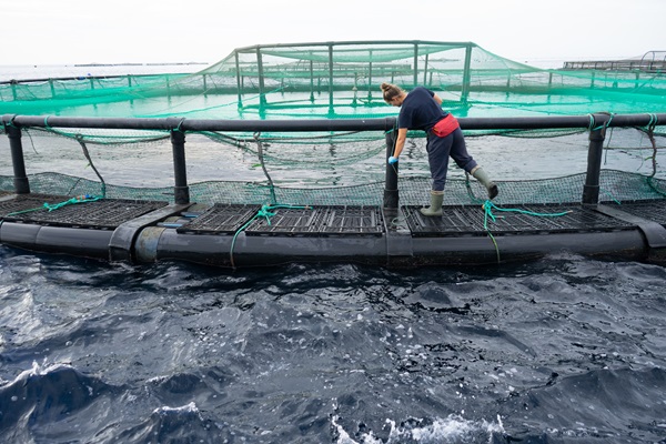 Banco de imágenes de mujeres de la pesca