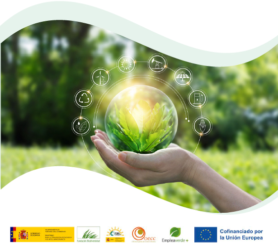 Empleo y Transición Ecológica