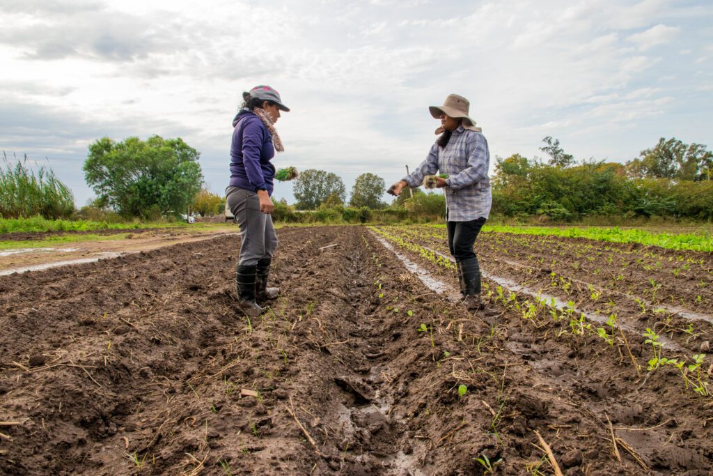 mujeres medio rural